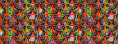 Raster illüstrasyonu. Egzotik çiçekler, kırmızı renkte botanik parlak klasik doğa. Klasik tropikal doğal elementlerin suluboya seti.