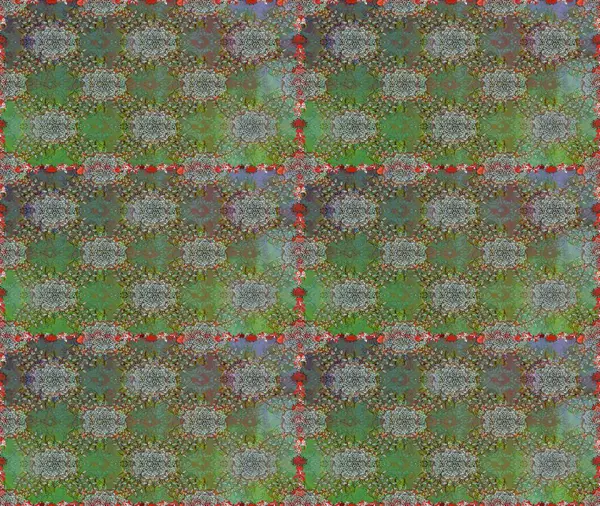 Hint çiçek liyada madalyon deseni. Etnik Mandala süsü. Tekstil, tebrik kartı, boyama kitabı, telefon kılıfı baskı için kullanılabilir. Raster Kına dövme tarzı.