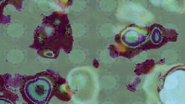 Renkli unsurlarla hareketli arka plan görüntüleri. Çiçekler. Eski model. Bayrak tarzı. Video kaydı. Şablon. Döngü. Kusursuz.. 