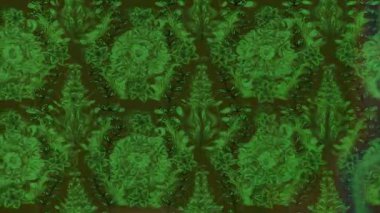 Renkli unsurlarla hareketli arka plan görüntüleri. Çiçekler. Eski model. Bayrak tarzı. Video kaydı. Şablon. Döngü. Kusursuz.. 