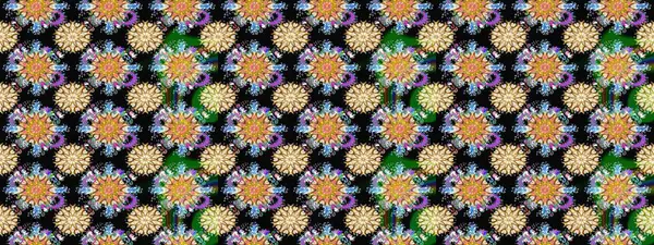 Raster illüstrasyonu. Yumuşak, bahar çiçekleri siyah renklerde. Raster çiçekleri klasik tarzda çizilmiş. Çiçekli yumuşak çizim deseni.