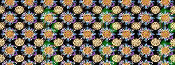 Raster illüstrasyonu. Yumuşak, bahar çiçekleri siyah renklerde. Raster çiçekleri klasik tarzda çizilmiş. Çiçekli yumuşak çizim deseni.