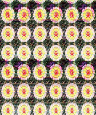 Raster düz çiçek çizim deseni. Tarafsız ve sarı renkte çiçekler. Tasarım hediye paketi, tebrik kartları, posterler ve afiş tasarımı.