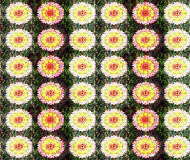 Gömlek, arka plan modelini çiz. Sarı renkli çiçekler. Tropik çiçekler.