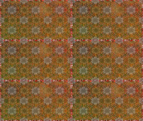 Etnik Mandala süsü. Raster Henna dövme stili. Kızılderili desenli desenli desenli şal deseni. Tekstil, tebrik kartı, boyama kitabı, telefon kılıfı baskısı için kullanılabilir.