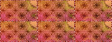 Turuncu ve kahverengi renkli çiçekler. Nazikçe, güzel çiçek arkaplanı. Raster çiçek desenli ve çiçekli..