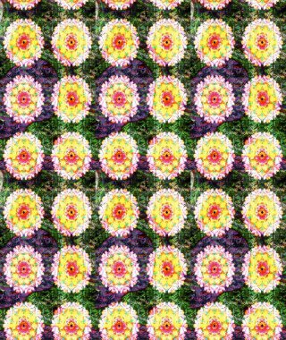 Raster güzel kumaş deseni çiziyor. Düz Çiçek Elementleri Tasarımı. Çiçek deseni. Renkli Bahar Teması çizim şablonu.