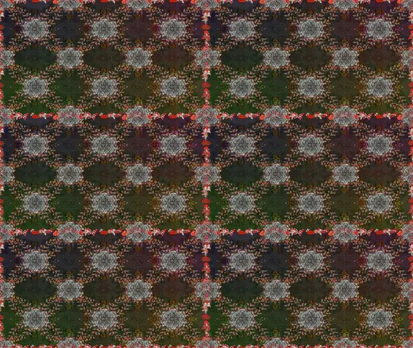 Kızılderili desenli desenli desenli şal deseni. Raster Henna dövme stili. Etnik Mandala süsü. Tekstil, tebrik kartı, boyama kitabı, telefon kılıfı baskısı için kullanılabilir.