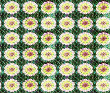 Raster illüstrasyonu. Şatafatlı bahar bahçesi dokusu. Flower eskiz arka planı. Çiçek deseni.