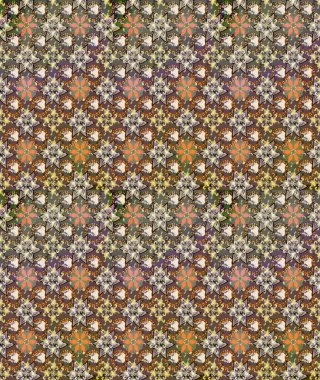 Suluboya etkisi. Organik elementler. Botanik çizim kalıbı. Raster deseni.