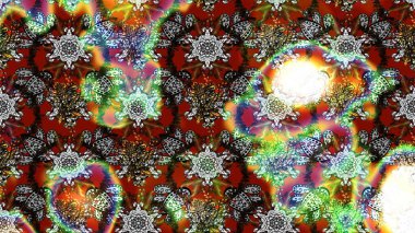 Tekrar eden çiçek arkaplanı, zarif gri ve kahverengi çiçek duvar kağıdı. Gri ve kahverengi renkler üzerine çiçek desenli çizimler, el yapımı papatyalar, papatyalar..