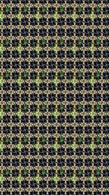 Siyah renkli etnik çiçeklerle süslenmiş zarif bir eskiz şekli. Asya Tekstil 'inde Raster Çiçek İllüstrasyonu.