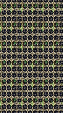 Siyah renkli etnik çiçeklerle süslenmiş zarif bir eskiz şekli. Asya Tekstil 'inde Raster Çiçek İllüstrasyonu.