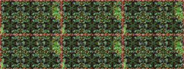 Yeşil renklerde, altın elementlerle kusursuz desen. Kusursuz altın desenli bukleler. Parlak dantel, stilize çiçekler, şal desenli. Raster sanatı. Doğu tarzı arabesk. Zarif altın deseni aç