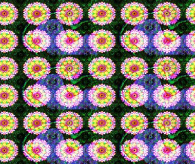 Çiçeğin suluboya çizimlerinin mükemmel deseni. Moda baskısı. Suluboya çizim kalıbı. Dekorasyon ve tasarım için güzel bir desen. Eski.