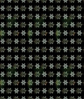 Raster Illustrasyon 'daki Çiçek Deseni' nin son moda çizimi. Düz Çiçek Elementleri Tasarımı. Renkli Yaz Temalı eskiz kalıbı. Siyah renkte çiçekler.