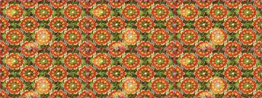 Süslü raster dekorasyonu. Kahverengi yerine altın rengi klasik barok çiçekli desenler. Kahverengi renklerde altın element. Lüks, kraliyet ve Viktorya dönemi konsepti.