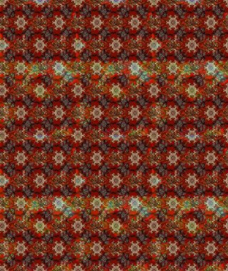 Nazikçe, güzel çiçek arkaplanı. Kahverengi, kırmızı ve bej renkli çiçekler. Raster çiçek desenli ve çiçekli..