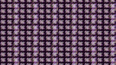 Nazik, narin çiçek arkaplanı. Siyah renkli çiçekler. Raster çiçek desenli ve çiçekli..