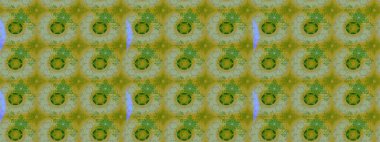 Moda baskıları için zarif bir şablon. Küçük renkli çiçekler. Motley illüstrasyonu. Küçük çiçekte güzel bir desen. Robot resim. Çiçekli bahar çiçekleri.