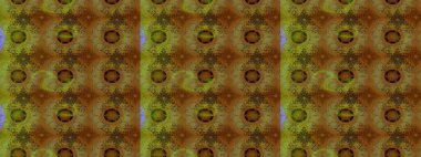 Raster illüstrasyonu. Çiçek buketleriyle klasik bir eskiz şekli. Kahverengi renklerde.