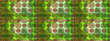 Kusursuz Vintage Çiçek Deseni. Raster Kalça dokusu deseni.