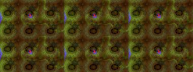 Çiçek arkaplan. - Kahverengi ve yeşil çiçekler. Çiçek kolajı. Çiçek kompozisyonu. Doğa. Raster deseni. Küçük çiçekte güzel desen var..