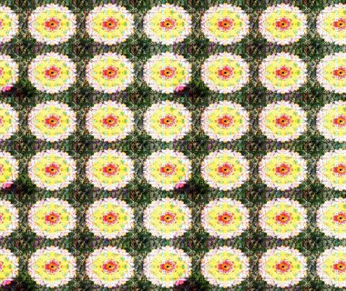 Tarafsız renkler. Yaz çiçekleri teması. El çizimi, soyut ve süslü elementler. Klasik çiçekler. Suluboya resim taklit Raster illüstrasyonu.