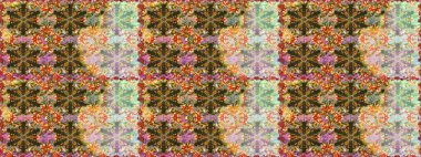 Kahverengi renklerdeki altın desenli altın elementler. Raster klasik barok çiçeksiz altın desenli. Lüks, kraliyet ve Viktorya dönemi konsepti. Süsleme.