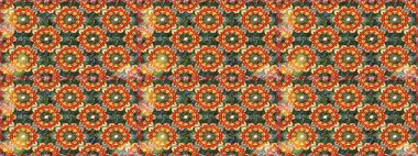 Barok tarzında kusursuz bir doğulu süsü. Geleneksel klasik raster altın pürüzsüz desen. Turuncu renklerdeki altın elementler.