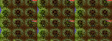 Tekstil için suluboya eskiz deseni. El çizimi çiçek çizimi deseni (fayans). Şirin çiçekleri, desenleri, yeşil ve kahverengi renkleri olan renkli çizim deseni.