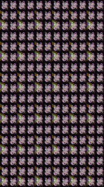 Tekstil, tebrik kartı, boyama kitabı, telefon kılıfı baskısı için kullanılabilir. Kızılderili desenli desenli desenli şal deseni. Etnik Mandala süsü. Raster Henna dövme stili.