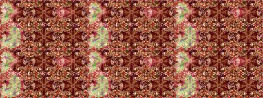 Kahverengi renklerde, altın elementlerle kusursuz desen. Kusursuz altın desen. Raster doğulu süsü.