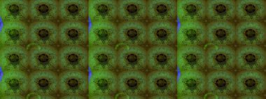 Raster illüstrasyonu. Nazikçe, renkli yaz çiçekleri. Raster çiçek desenli ve çiçekli..