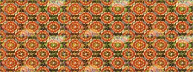 Kahverengi renklerde altın elementler. Duvar kâğıdı barok, İspanyol kumaşı. Şık bir grafik desen. Çiçek deseni. Kusursuz raster arkaplanı.