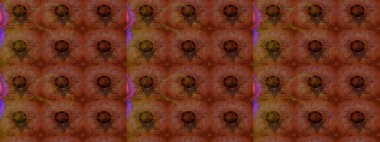 Kumaş desenli papatya çiçeği detayı. Kahverengi ve kırmızı renkte çiçekler.