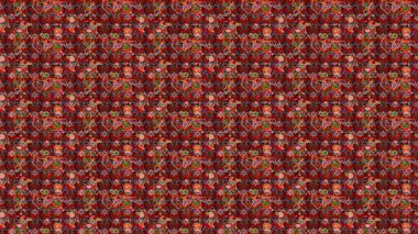 Renkli grunge renkli çiçeklerle soyut bir arka plan oluşturur. Parmak izi, kumaş, duvar kâğıdı, tekstil için raster dokusu. Nakış desenli çiçek deseni..