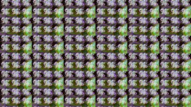 Moda baskıları için zarif bir şablon. Halk tarzı. Modern çiçek arkaplanı. Parlak renkli çiçekleri ve yeşil yaprakları olan harika bir çiçek deseni..