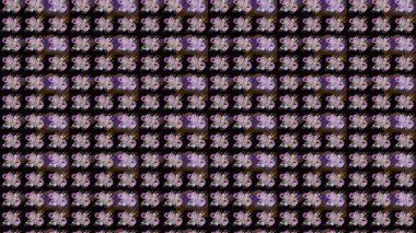 Siyah renkli çiçekler. Renkli Bahar Teması eskiz kalıbı. Çiçekli çizim şekli. Düz Çiçek Elementleri Tasarımı.