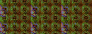 Parlak renkli çiçekleri olan ve kahverengi ve yeşil renkli yaprakları olan harika bir çiçek deseni. Moda baskıları için zarif bir şablon. Modern çiçek arkaplanı. Halk stili.