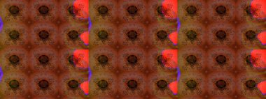 Klasik çiçekler. El çizimi, soyut ve süslü elementler. Yaz çiçekleri teması. Kahverengi ve kırmızı renkler. Suluboya resim taklit Raster illüstrasyonu.