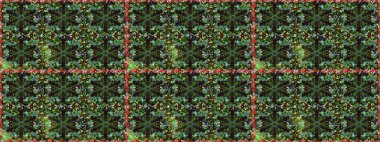 Süslü dekorasyon. Altın elementli gri renkli altın desenli. Raster klasik barok çiçeksiz altın desenli. Lüks, kraliyet ve Viktorya dönemi konsepti.