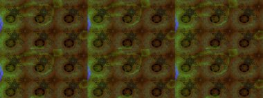 Çiçek süslemeli çizim deseni. Kahverengi ve yeşil renkli çiçekler. Raster illüstrasyonu.