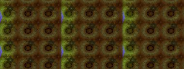 Suluboya çizim kalıbı. Çiçek izi. Çiçekler suluboya tarzında kahverengi ve yeşil renklerde.