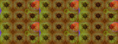 Botanik çizim kalıbı. Organik elementler. Suluboya etkisi. Raster deseni.