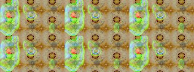 Klasik çiçekler. El çizimi, soyut ve süslü elementler. Yaz çiçekleri teması. Tarafsız ve bej renkler. Suluboya resim taklit Raster illüstrasyonu.