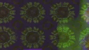 Renkli unsurlarla hareketli arka plan görüntüleri. Çiçekler. Eski model. Bayrak tarzı. Video kaydı. Şablon. Döngü. Kusursuz.