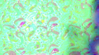 Renkli unsurlarla hareketli arka plan görüntüleri. Çiçekler. Eski model. Bayrak tarzı. Video kaydı. Şablon. Döngü. Kusursuz.