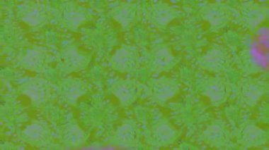 Renkli unsurlarla hareketli arka plan görüntüleri. Çiçekler. Eski model. Bayrak tarzı. Video kaydı. Şablon. Döngü. Kusursuz.. 