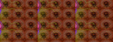 Düz Çiçek Elementleri Tasarımı. Raster illüstrasyonu. Renkli çiçekler. Çiçek desenli çizim. Asya tekstil tarzında. Renkli Bahar Teması çizim şablonu.